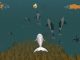 „Be the Whale“ - Virtuelles Beluga-Abenteuer