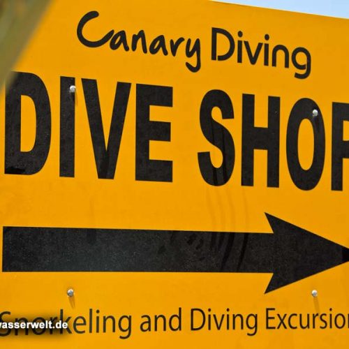Canary Diving Adventures