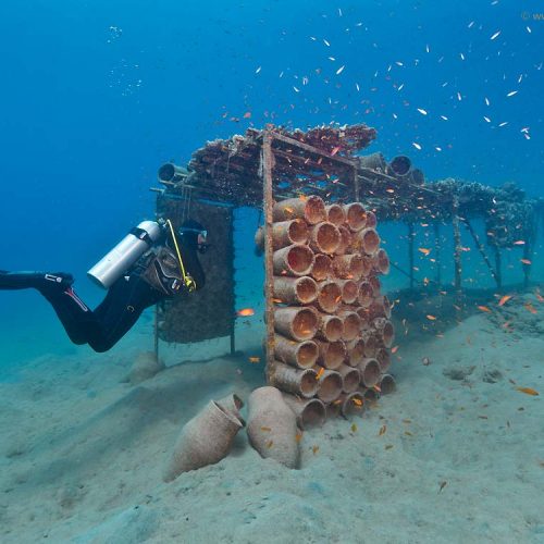 Riffkonstruktion zur Korallenansiedelung und Fischvermehrung