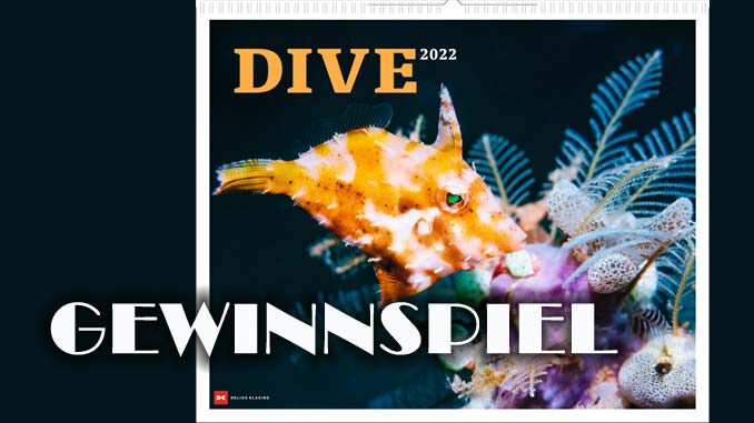 Titel-Gewinnspiel-Kalender-Dive-2022