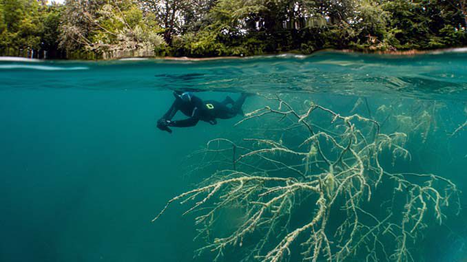 unterwasserwelten-camp-news-2021-01