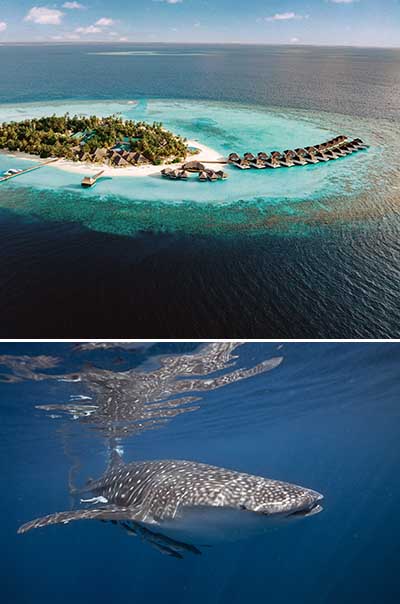 Nova Maldives