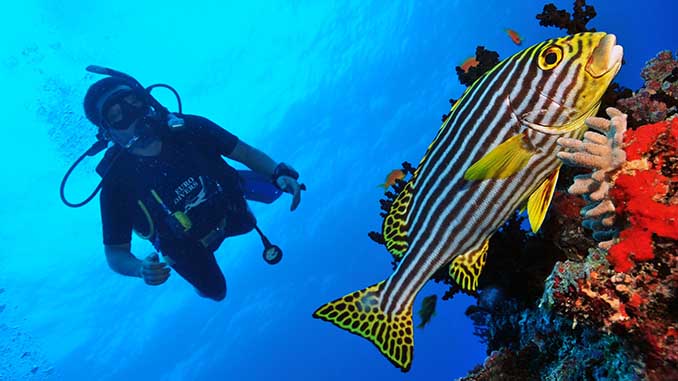 Raa-Atoll Dhigali Divers