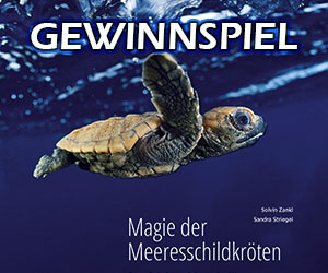 Gewinnspiel