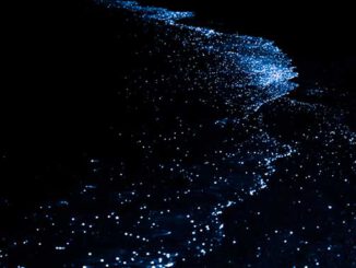 Nova Maldives / Shutterstock 219713752.