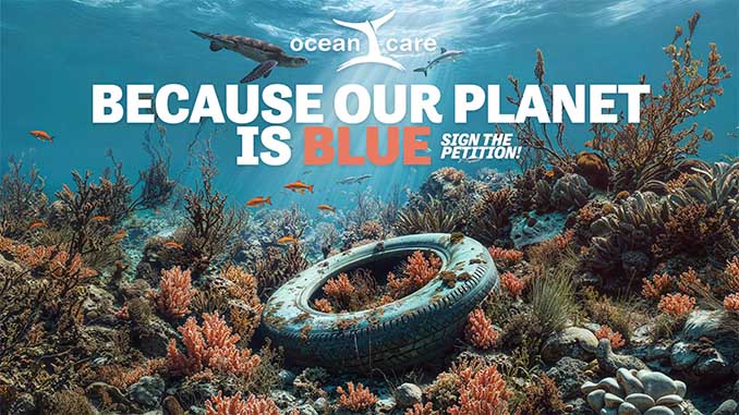 ocean care news 2025 02 OceanCare