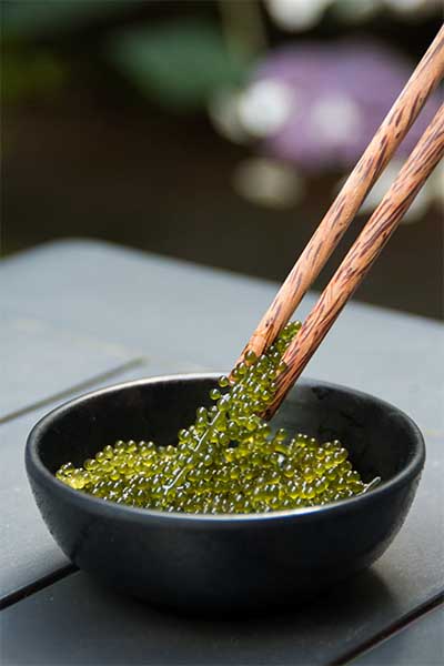 Die Grünalge Caulerpa lentillifera – auch Grüner Kaviar genannt – hat einen hohen Gehalt an Omega-3 Fettsäuren und starke antioxidative Eigenschaften. 