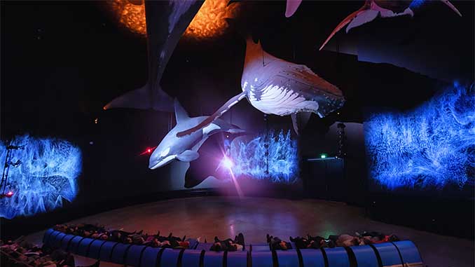 OZEANEUM Wale