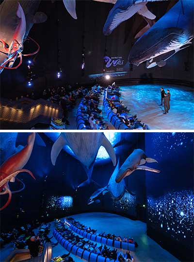 OZEANEUM Wale