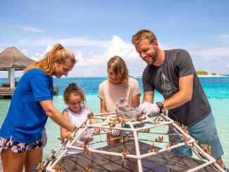 Malediven Korallenschutz