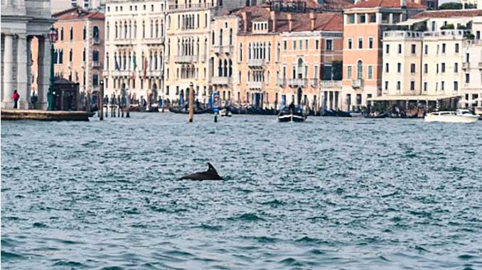Venice© Luca Ceolotto_Department of Comparative Biomedicine and Food Science, University of Padova, Italy