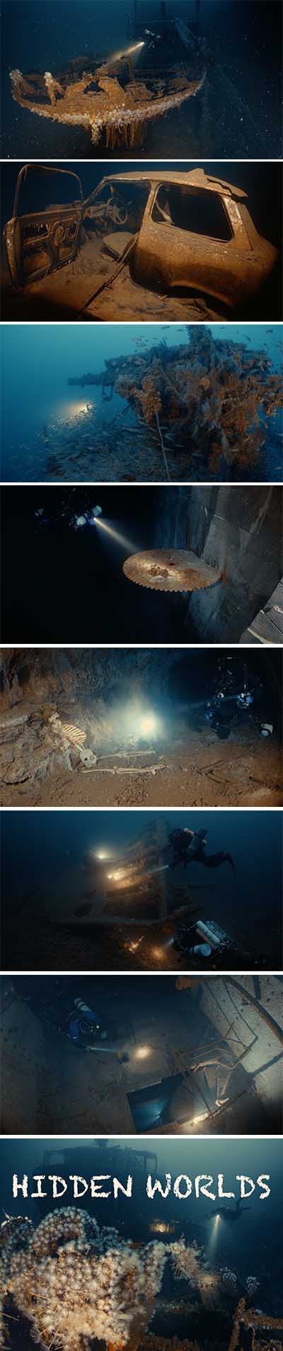 Hidden Worlds