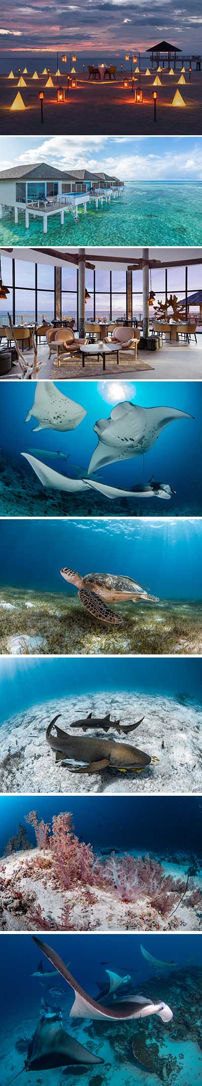 Le Méridien Maldives Resort & Spa