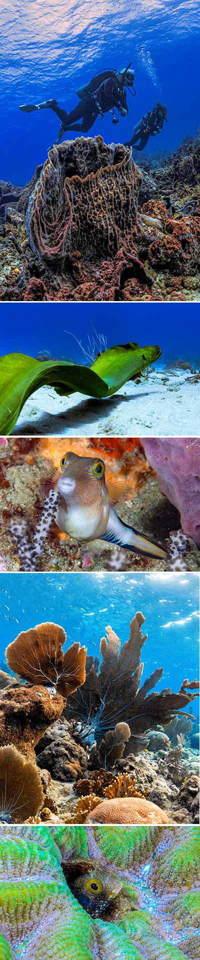 Tobago