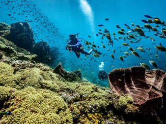© Sandals Resorts