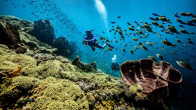 © Sandals Resorts