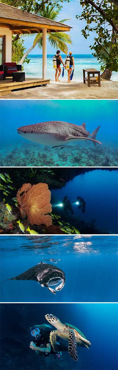 Euro-Divers Vilamendhoo
